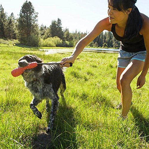 Ruffwear, Gourdo Natural Rubber Throw Toy for Dogs with Rope Handle, Sockeye Red, Small - color: Sockeye Red, size: Small