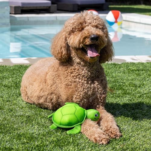 Fringe Studio Snappy Floating Dog Toys, Pet Shop Collection (640008) - color: Snappy