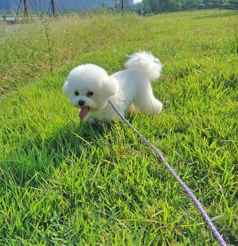 2/3/4/6/10 Foot Reflective Dog Leash Strong Nylon Rope Braided Heavy Duty for Large Medium Small Dogs Walking Training Leads (Pink, 4ft * 1/2") - color: Pink, size: 4ft * 1/2"