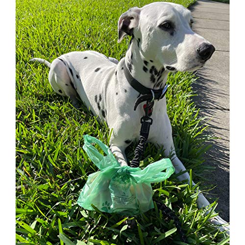 BioBag Premium Pet Waste Bags with Handles, Standard Size, 150 Count, Great For All Dog Breeds - style: Bags With Handles