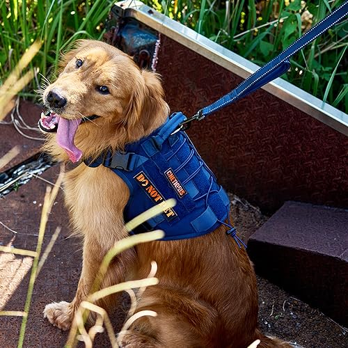 OneTigris Handled No-Pull Dog Walking Leash Long Traffic Leads for Medium to Large Dogs (Blue, 4FT) - color: Blue, size: 4FT
