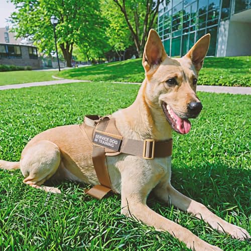 Excellent Elite SPANKERTactical Dog Vest Training Military Patrol Service Dog Harness Adjustable Nylon Dog Harness with Handle(MCP-S) - color: MCP, size: S