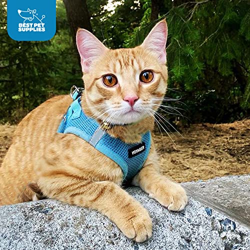 Best Pet Supplies Voyager Step-in Air Harness - All Weather Mesh, Reflective, No Pull Harness for Dogs, Cats - Secure with Hook & Loop Fastener, Buckle, Double D-Rings - Baby Blue, XS - color: Harness (Baby Blue), size: XS (Chest: 13 - 14.5")