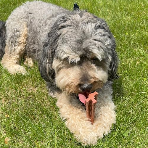 SPOT Bam-Bones Plus Coffee Wood T-Bone Dog Chew Toy, Beef Flavor, Nylon and Coffee Wood Fiber Blend, Durable Chew for Heavy Chewers and Dogs Under 90 lbs, Non-Splintering Dental Chew, 7 Inch - size: 7 Inch (Pack of 1)
