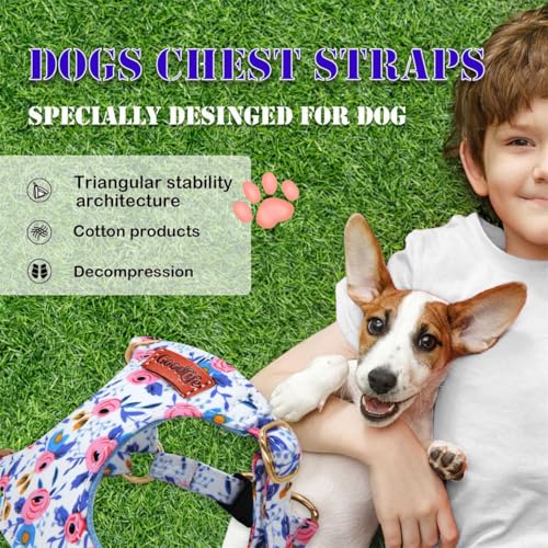 OaaXbbECco No Pull Floral Pattern Puppy Harness,Soft Adjustable Dog Harness Vest and Dog Leash Set No Choke Escape Proof (Blue Rose, XS) - color: Blue Rose, size: XS