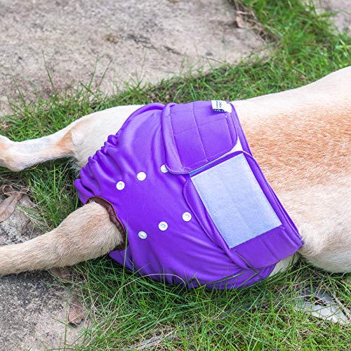 CuteBone Dog Diapers Female Washable Small Medium Large 3 Pack Reusable Doggie Diapers Puppy Period Pants for Doggy Heat Cycle Peeing - size: L