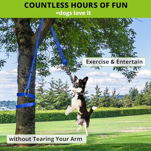 Dog Hanging Bungee Tug Toy: Interactive Tether Tug-of-War for Pitbull Small to Large Dogs to Exercise and Training Equipment - Outdoor Tree Tugger Dog Rope Toy with 2 Chew Rope Toys - Blue - size: X-Large-Blue-for Single Dog