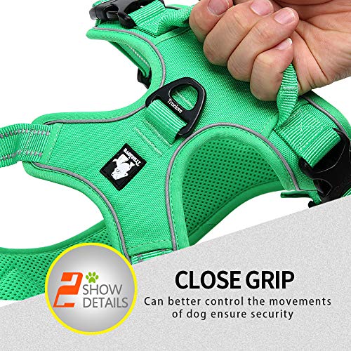 JUXZH Truelove No Pull Dog Harness with Easy Control Handle and 2 Leash Attachments,Reflective Adjustable Pet Vest - color: Grass Green, size: Medium (Pack of 1)