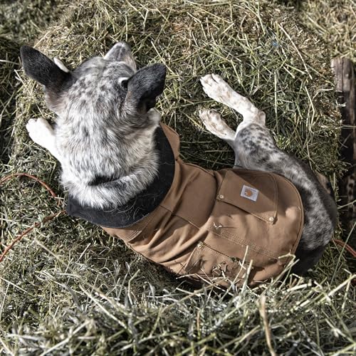 Carhartt Firm Duck Insulated Dog Chore Coat Army Green/Brass, Medium - color: Army Green, size: Medium
