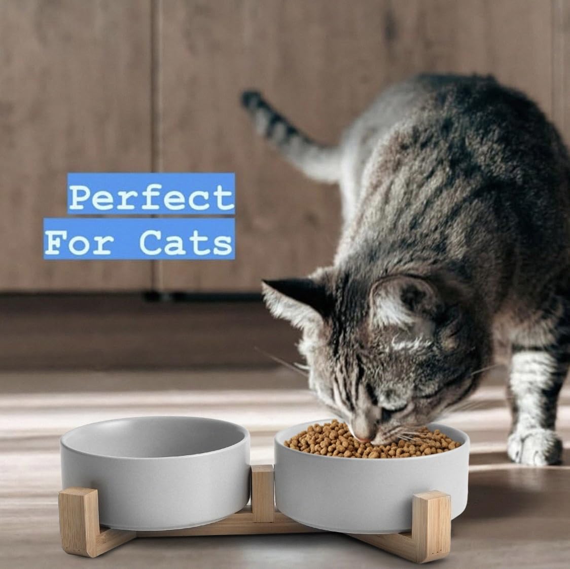 Ceramic Cat and Small Dog Bowl Set – Modern Indoor Small Size Pet Food and Water Bowls with Wood Stand – Non Slip Puppy Sized Feeding Station with Double Dishes (Gray) - color: Gray