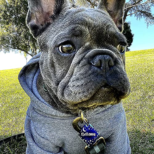Personalized Dog Tag with 5 Lines of Custom Deep Engraved Durable Stainless Steel Pet ID Name Tag Designer Small Size Diamond - size: Small, style: Diamond