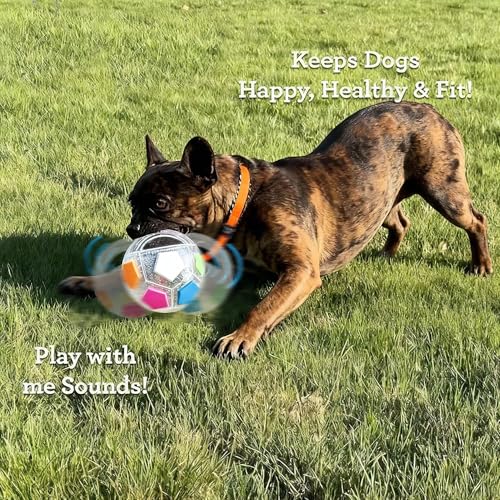 Dog Toy Ball TPR Interactive Football 5 Inch Durable Chew Resistant Fetch Toy Heavy Duty Rolling & Bouncing Play for Medium Large Dogs, Chew Toy for Dental Health & Energy Release (Transparent) - color: Transparent