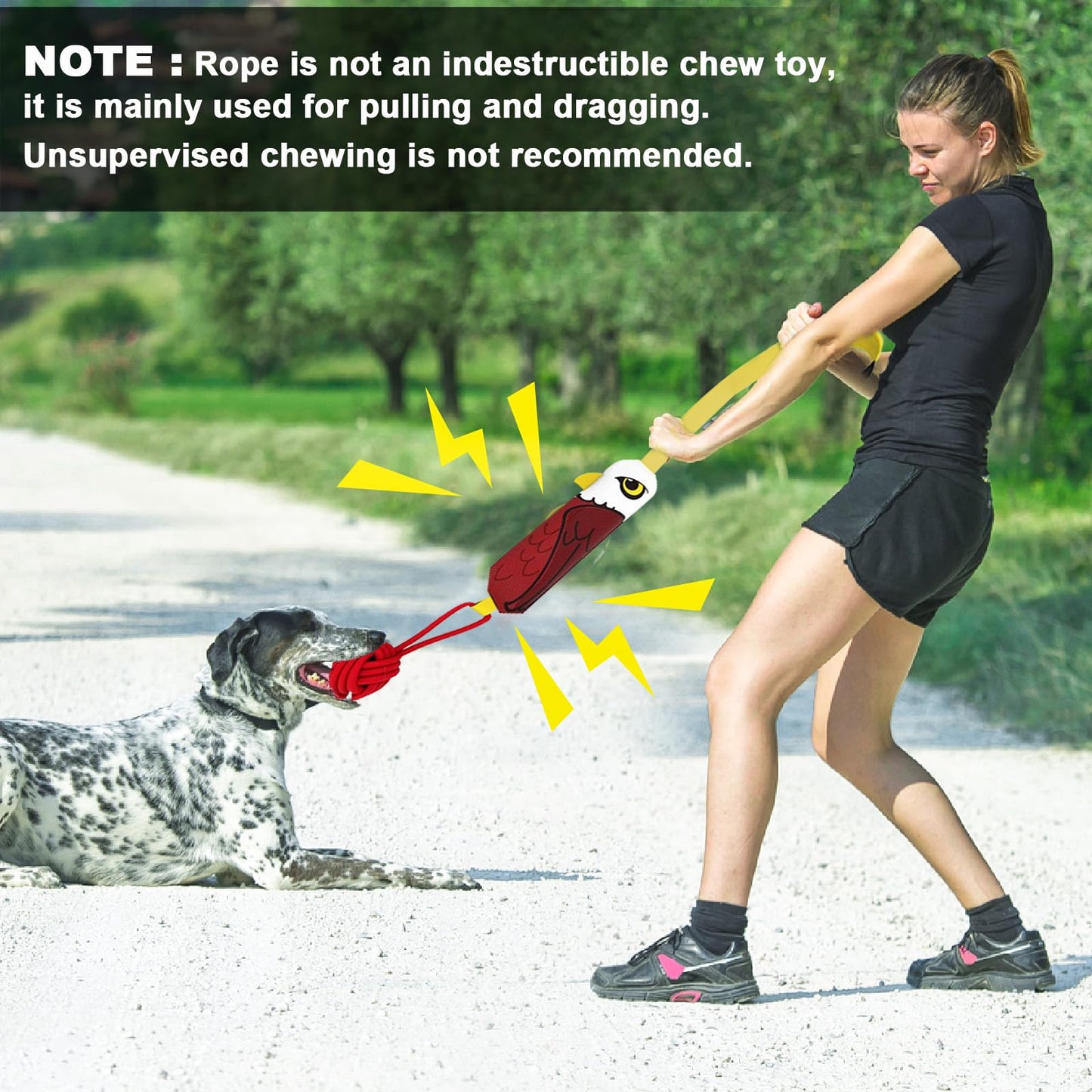 ETIAL Interactive Dog Tug Toy,Indestructible Dog Toys for Aggressive Chewers,Tough Squeaky Dog Rope Toys for Training,Tug of War Dog Toy Balls for Medium & Large Dogs (Eagle) - style: Eagle
