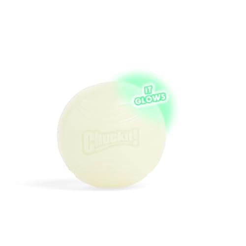 Chuckit! Glow in the Dark Bouncy Ball for Dogs, Chuckit Dog Toy, Max Glow Balls - Large, 3 Inch, Pack of 1 - size: Large