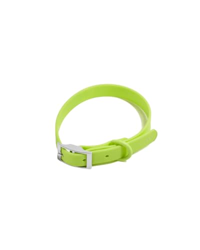 Wild One Dog Collar, Easy-Clean, All Weather Flex-Poly Strap with Metal, Durable, Dirt and Odor Resistant (Limeade, S) - color: Limeade, size: S