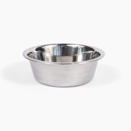 Hiddin Double Elevated Dog Bowl Stand for Medium or Large Dogs, All Breeds, Clear Acrylic 7 Inch Raised Dog Bowl Stand with Two Stainless Steel Bowls for Food and Water - 6.5 Cups Each Dish - size: 6.5 Cups
