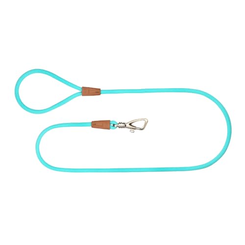 TOH Dog Rope Leash, Puppy Rope Leashes with Comfortable Padded Handle, Shiny Design, Easy to Use, Heavy Duty Dog Leash Suitable for Dogs Training Outdoor Walking, 4ft & Turquoise - color: Turquoise
