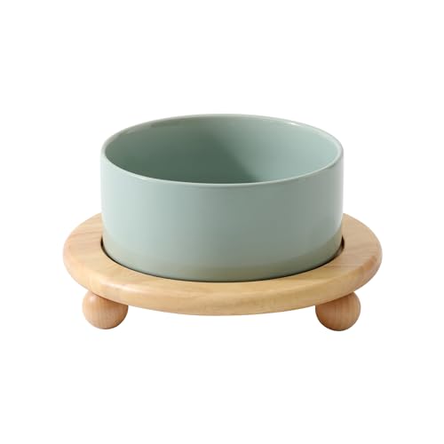 Havniva Raised Cat Bowls Water Bowl 6.1” Elevated Ceramic Cat Food and Water Bowl Whisker Friendly Pet Food Bowls for Indoor Cats, Wide Cat Water Dish Prevent Whisker Fatigue Non Slip Cat Feeder - color: 1 x Bowl + Stand - Light Green, size: 6.1inch