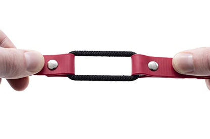Educator 1-Inch Biothane Dog Training Collar Strap – ONLY Fits FE-580, ET-800 & UL-1200 Receivers – NOT Compatible with ET-300, ET-400 or 3/4-Inch Receivers – Quick Snap Bungee Collar, Red - color: Red