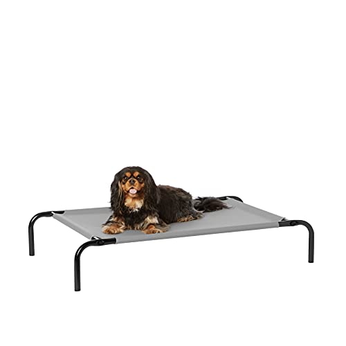 Amazon Basics Cooling Breathable Elevated Dog Bed with Metal Frame for Small Dogs, 36" x 22" x 7.5", Grey - color: Grey, size: Small