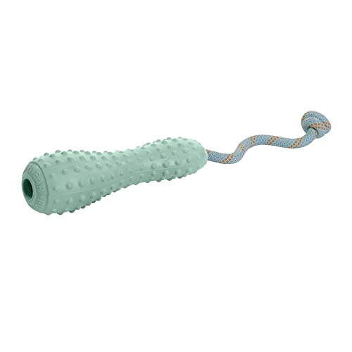 Ruffwear, Gourdo Natural Rubber Throw Toy for Dogs with Rope Handle, Sage Green, Small - color: Sage Green, size: Small