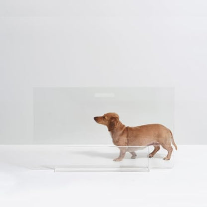 Hiddin Low Clear Freestanding Pet Gate – 30 Inch Wide Modern Acrylic Dog & Cat Barrier Panel – Transparent No-Installation Indoor Pet Fence for All Spaces – Stylish Home Safety Solution - size: 30" Width