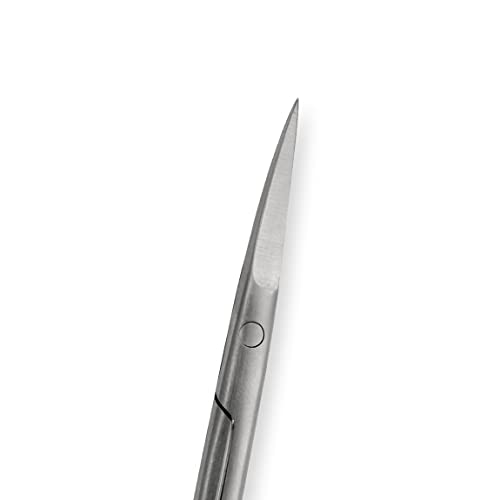 Amazon Basics Beauty Scissors, Stainless Steel, Curved Precision Cutting, Multipurpose Grooming Tool, Easy to Use, Silver