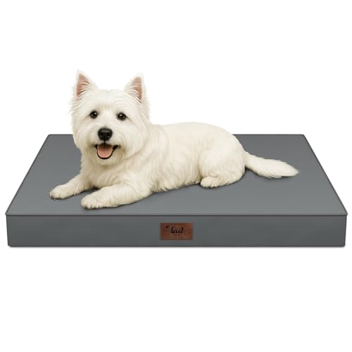 Waterproof Orthopedic Dog Crate Bed for Small Dogs & Cats | Egg Crate Foam, Fits 24x18 Crates, TPU Waterproof Layer, Machine Washable 1680D Oxford Cover, Small Pets Up to 20 lbs - color: Grey, size: 23.0"L x 17.0"W x 2.5"Th