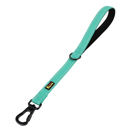 PLUTUS PET Short Training Dog Leash with Padded Handle for Medium Large Dogs,18 Inch Heavy Duty Strong Traffic Leash with Carabiner Clip for Climbing Walking or Guiding Blind(18”，Teal) - color: Teal, size: 18 Inch (Pack of 1)