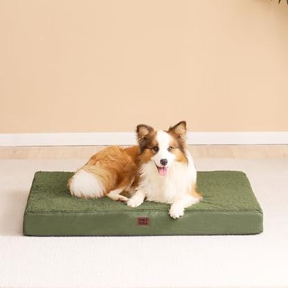 EHEYCIGA Orthopedic Foam Dog Bed, Medium, 30"L x 20"W x 3.5"Th, Dark Green - color: Olive Green, size: 30*20*3.5 inches