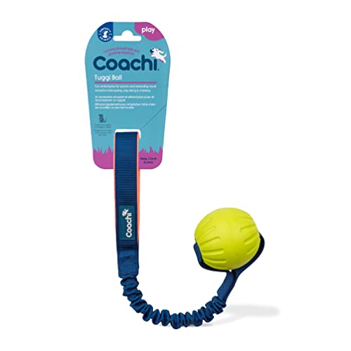 Coachi Tuggi Ball - Interactive Dog Toy for Tug of War & Play. Strong & Comfortable, Stretchy Bungee Handle with Foam Ball, Ideal for Agility and Reward Training, Interrupting Biting & Chewing - style: Tuggi Ball