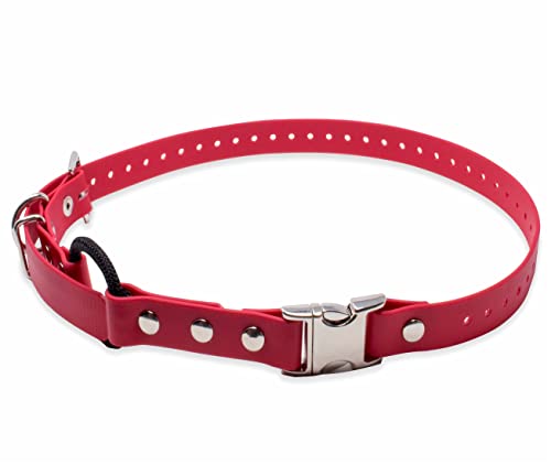 Educator 1-Inch Biothane Dog Training Collar Strap – ONLY Fits FE-580, ET-800 & UL-1200 Receivers – NOT Compatible with ET-300, ET-400 or 3/4-Inch Receivers – Quick Snap Bungee Collar, Red - color: Red