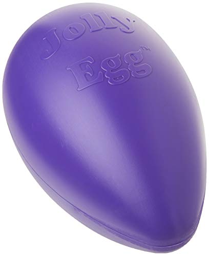 Jolly Pets Jolly Egg Dog Toy, 12 Inches/Large, Purple - color: Purple, size: Large (12 in)