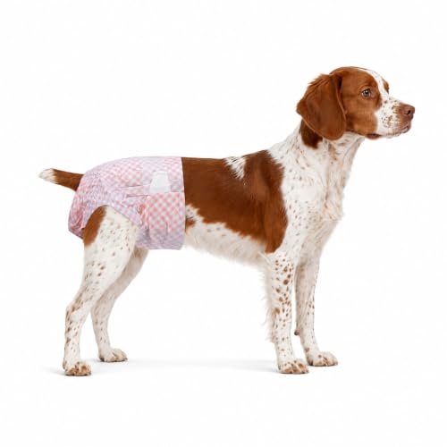 Disposable Female Dog Diapers for Waist 16–21 in, Leakproof, Super Absorbent, Soft Breathable Lining, for Dogs in Heat or Incontinence, 10 Count, L - size: Female 10ct Waist 16~21in(L)