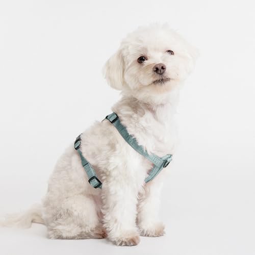Fei & Eve Moxie Dog Harness for Small & Medium Dogs, Glacier Green, M | Lightweight Design, 3-Point No-Pull Control, Quick Release Metal Buckle - color: Glacier Green, size: M