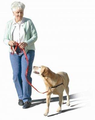 The Original Sense-ation No-Pull Dog Training Harness (Blue, Medium-Large Wide)