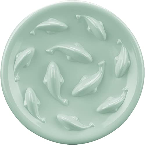 Slow Feeder Bowl for Cats and Small Dogs,Cilkus Fish Pool Design, Fun Interactive Bloat Stop Puzzle Feeder Bowl Healthy Eating Diet Made of Melamine Food Grade Material Dishwasher Safe (Green) - color: Green
