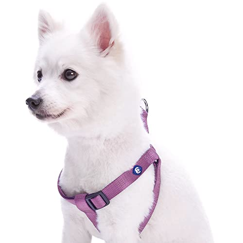 Blueberry Pet Essentials Step-in Dog Harness, Small Size | Adjustable Purple Vest | Classic Solid Nylon for Boy & Girl Dogs, Chest Girth 16.5" - 21.5" - color: Purple, size: Small