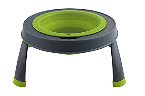 Dexas Popware for Pets Single Elevated Pet Feeder, Small, Gray/Green - color: Gray/Green, size: Small/1.5 Cup Capacity