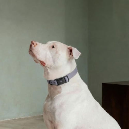 Fei & Eve VERO Dog Collar, Twilight Gray, Medium | MagEase Magnetic Buckle, Waterproof PVC, Odor Resistant, Easy Clean, Heavy Duty - color: Twilight Gray, size: M