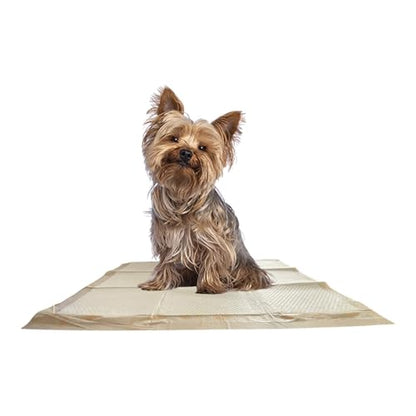 WizSmart Essentials Large Dog Pads, 23.5" x 22", Extra Absorbent Puppy Training Pads, Indoor Potty Pads, Leakproof Gel Pads for Small Dogs, Crate, House, Travel, Eco-Friendly, Non-Slip - 10 Count - size: 10 pads