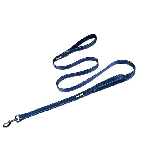 OneTigris Handled No-Pull Dog Walking Leash Long Traffic Leads for Medium to Large Dogs (Blue, 6FT) - color: Blue, size: 6FT