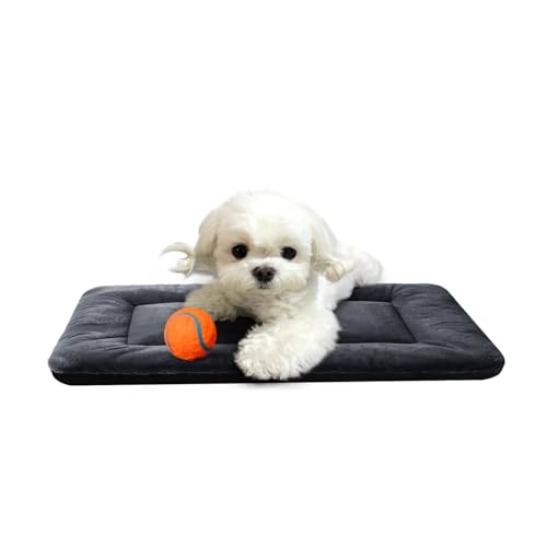 Dog Beds Crate Pad for Extra Small Dogs Ultra Soft Dog Crate Bed Washable & Anti-Slip Kennel Pad for Dogs Cozy Sleeping Mat, Dark Gray 22inch - color: dark gray, size: 22.0"L x 13.0"W x 1.0"Th