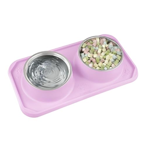 Cat Bowls for Food and Water, Upgrade Cat Food Bowls for Indoor Cats, Premium Removable Stainless Steel Double Bowls with Silicone Anti-Slip Pads, Water Bowl for Cats and Dog (Pink Purple) - color: pink purple