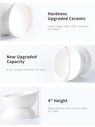 ABRUTY Cat Water Bowl, 16 OZ Ceramic Elevated Cat Bowls, 15° Tilted and Raised Pet Food Dish, Anti Vomiting Protect Pets' Spines and Whisker Fatigue - color: White, size: 2 Pack