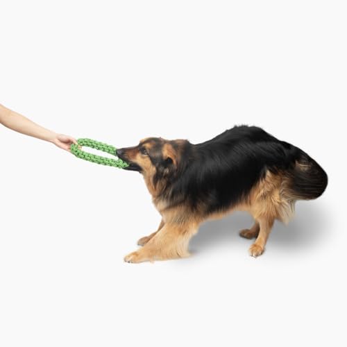 Jolly Pets TIK-Tak-Tugzz Small/Medium O Rope Dog Toy