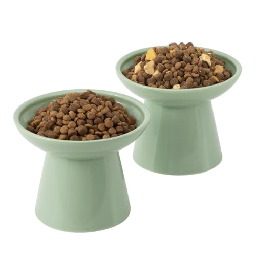 CEEFU Extra Wide Elevated Ceramic Cat Bowl, 6.2" Shallow Dish for Whisker Fatigue Relief, 5" Height for Easy Feeding, Durable Raised 2 Cat Food Bowls, Sage Green - color: Sage Green-2 Food Bowl