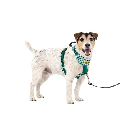 PetSafe Easy Walk Comfort No-Pull Dog Harness Padding - Better Walks on 1st Use - 5 Points of Adjustment Small, Green Gingham - color: Gingham, size: Small