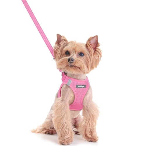 rabbitgoo Dog Harness Small Sized and Leash Set, Step in Soft Light Puppy Vest, Breathable Mesh Pet Harness, Reflective for Safe Easy Walking, Light Pink XXS - color: Light Pink, size: Xxs (chest: 12.4 - 14.2")