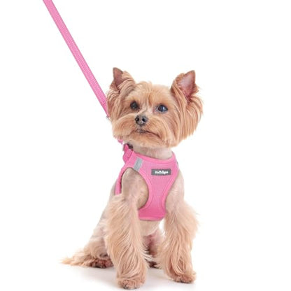 rabbitgoo Dog Harness Small Sized and Leash Set, Step in Soft Light Puppy Vest, Breathable Mesh Pet Harness, Reflective for Safe Easy Walking, Light Pink XXS - color: Light Pink, size: Xxs (chest: 12.4 - 14.2")